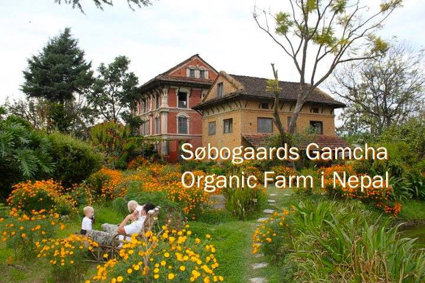 Så idylisk var Gamcha Organic Farm House før jordskælvet